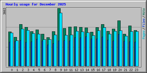Hourly usage for December 2025